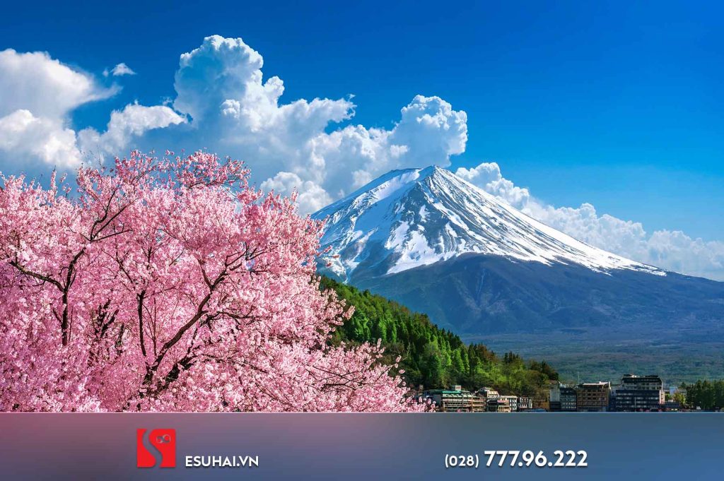 Vậy bạn đã có kế hoạch và sự lựa chọn hình thức đi Nhật phù hợp cho mình chưa?