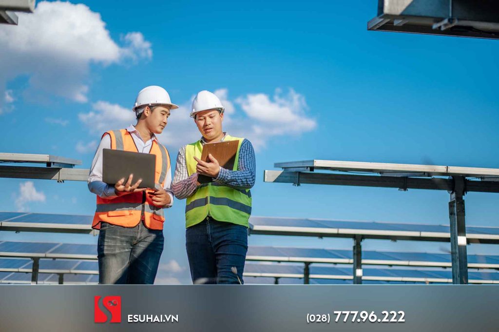 Chương trình Thực tập sinh 3 năm là chương trình phổ biến nhất