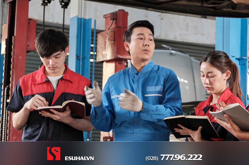 Tổng quan đặc điểm Chương trình Thực tập sinh 1 năm và 3 năm