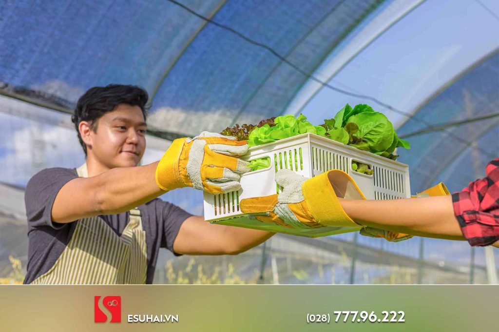 Cơ hội việc làm ngành Nông nghiệp tại Nhật rất đa dạng