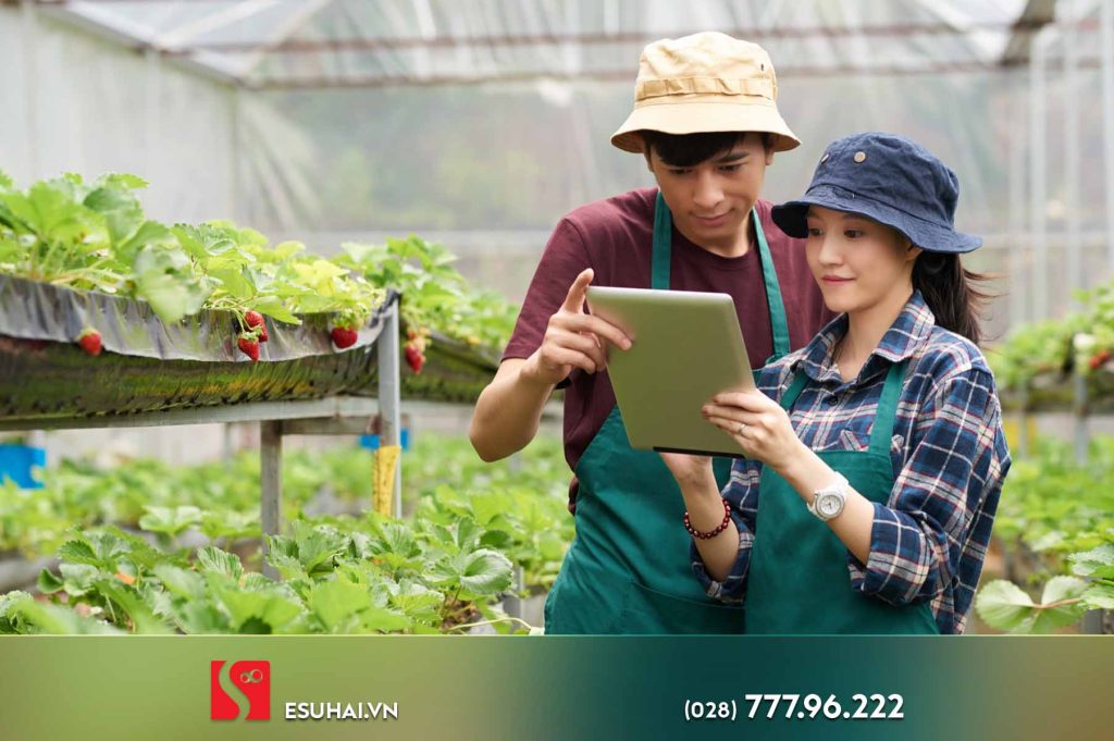 Nông nghiệp luôn là ngành có mặt trong danh sách, đặc biệt là công việc trồng nấm