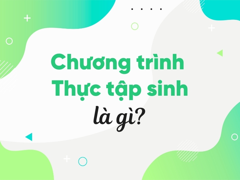 Chương trình Thực tập sinh là gì
