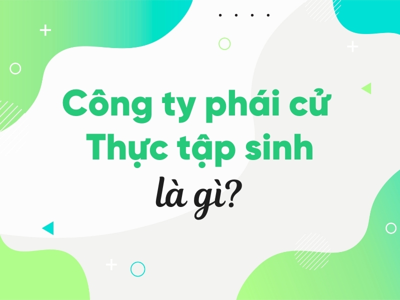 Công ty phái cử là gì