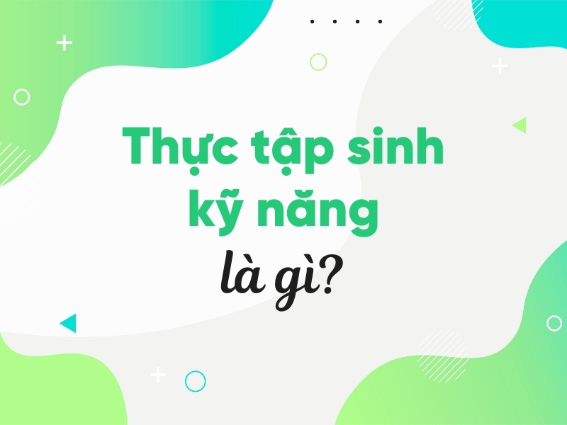 Thực tập sinh kỹ năng là gì