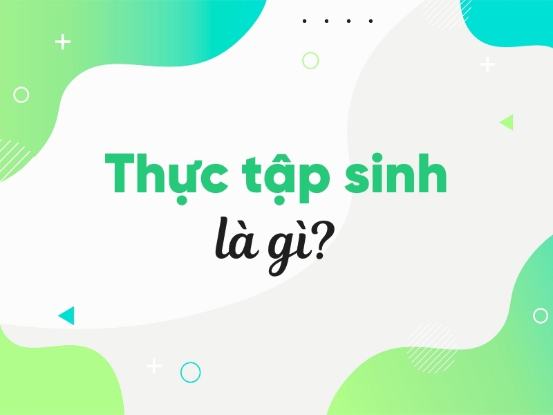 Thực tập sinh là gì